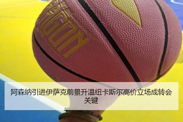 阿森纳引进伊萨克前景升温纽卡斯尔高价立场成转会关键